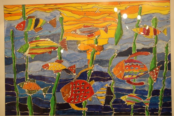 Bunte Fische